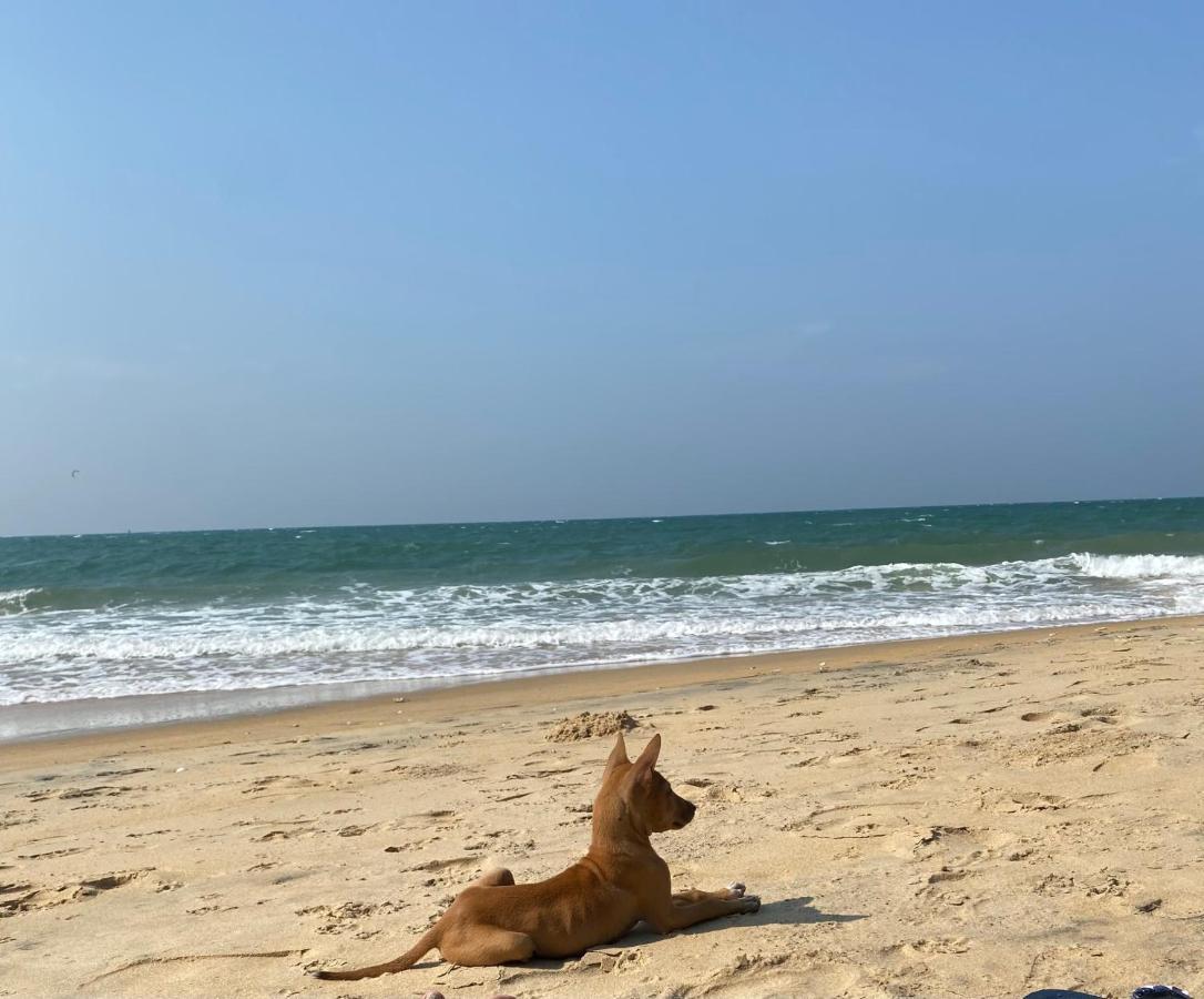 Sea Sand Resort Kalpitiya Exterior photo