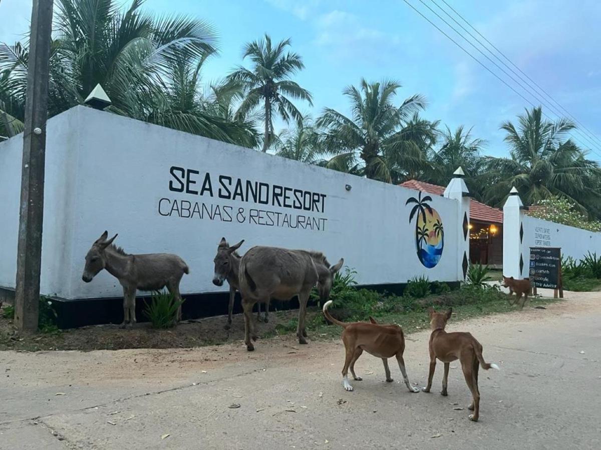 Sea Sand Resort Kalpitiya Exterior photo