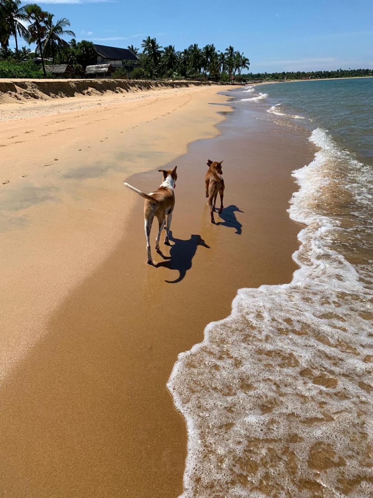 Sea Sand Resort Kalpitiya Exterior photo