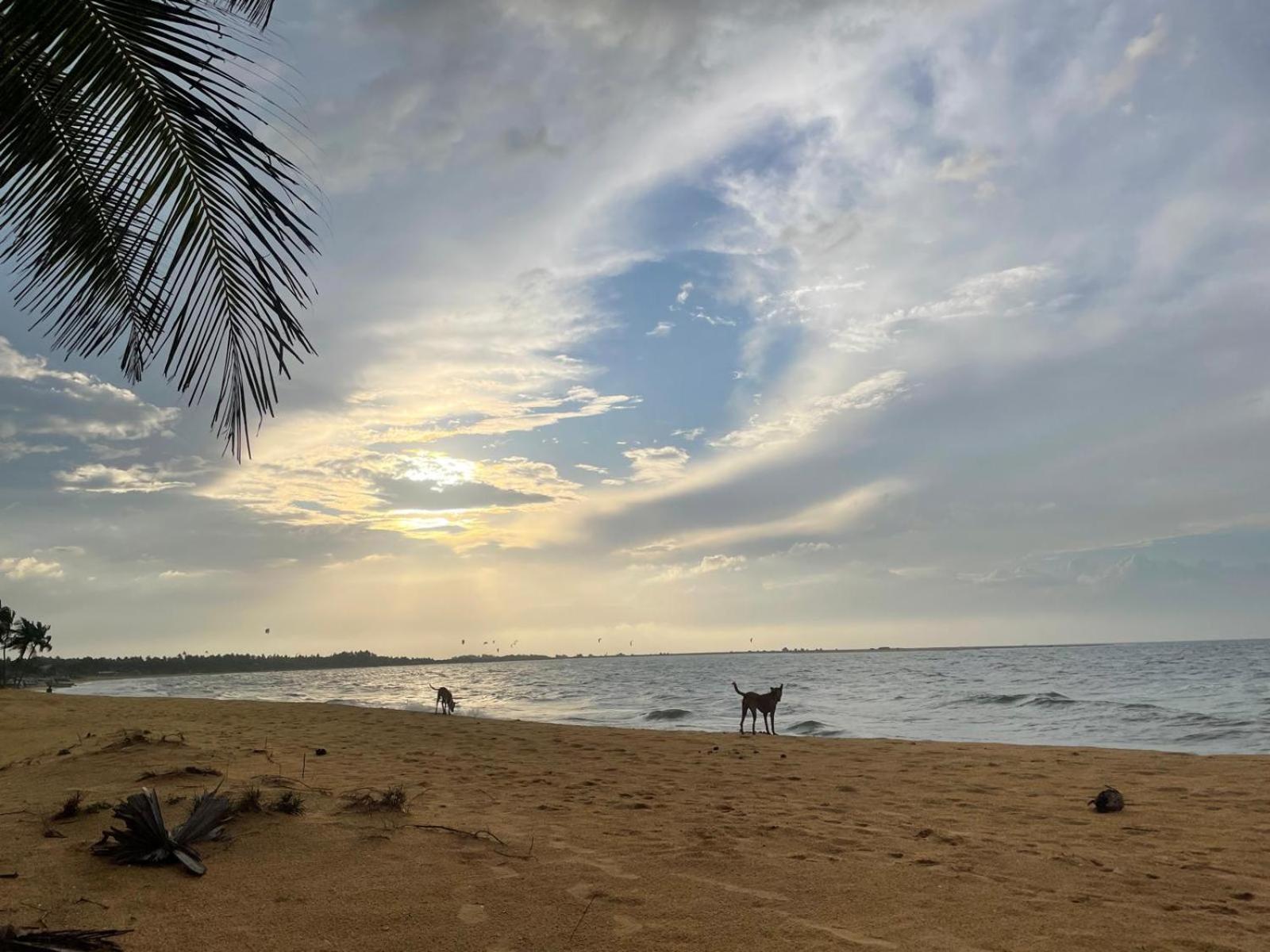 Sea Sand Resort Kalpitiya Exterior photo
