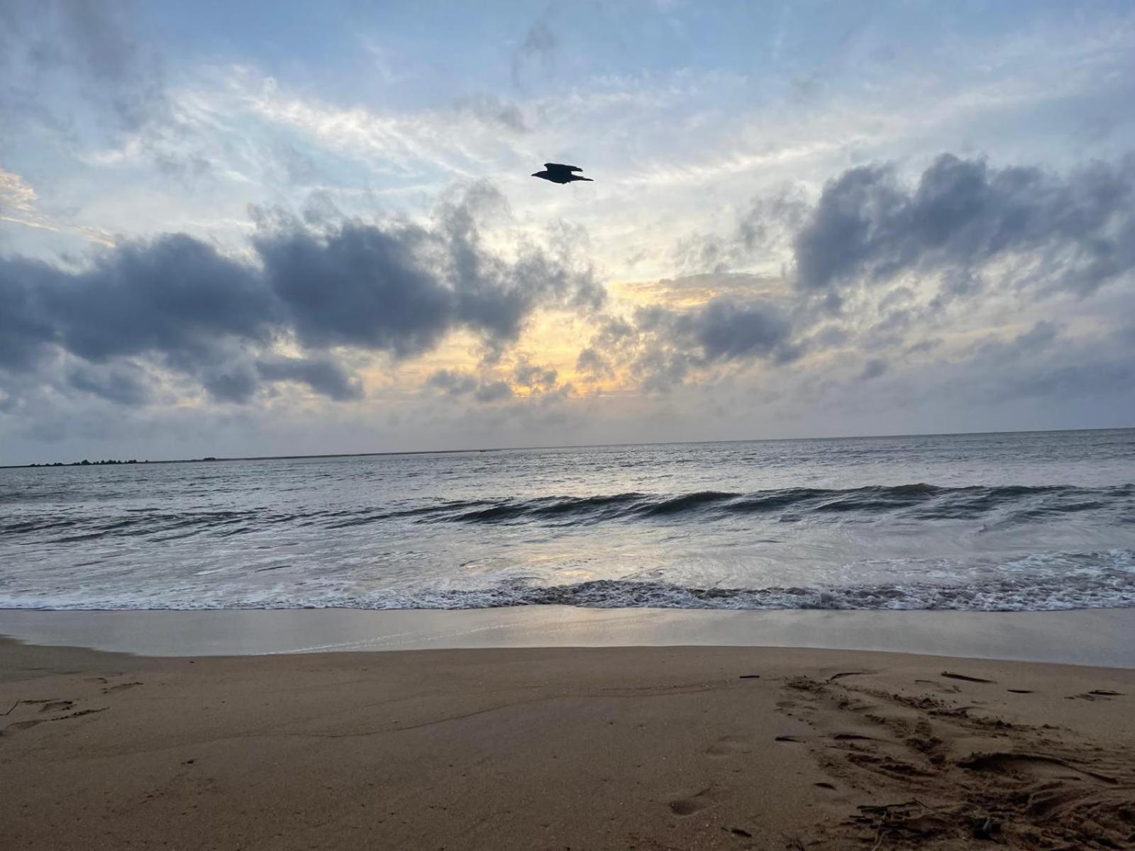Sea Sand Resort Kalpitiya Exterior photo