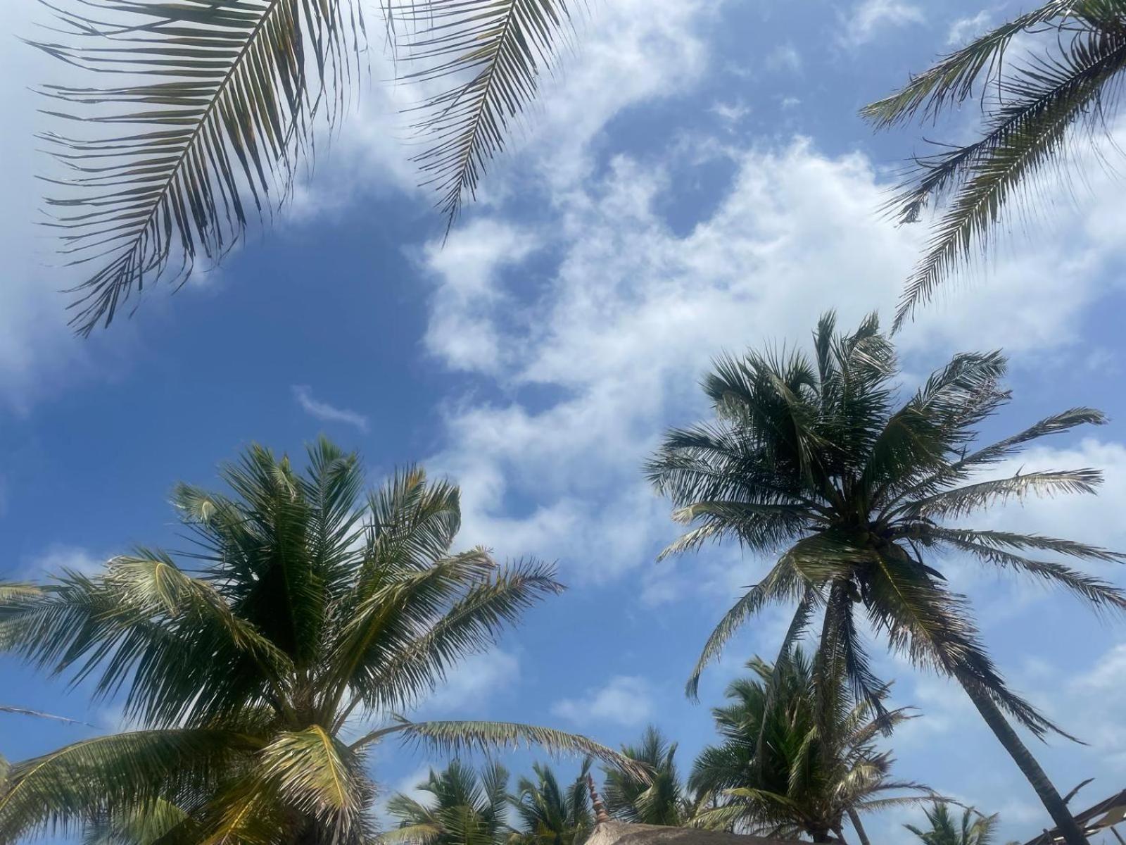 Sea Sand Resort Kalpitiya Exterior photo
