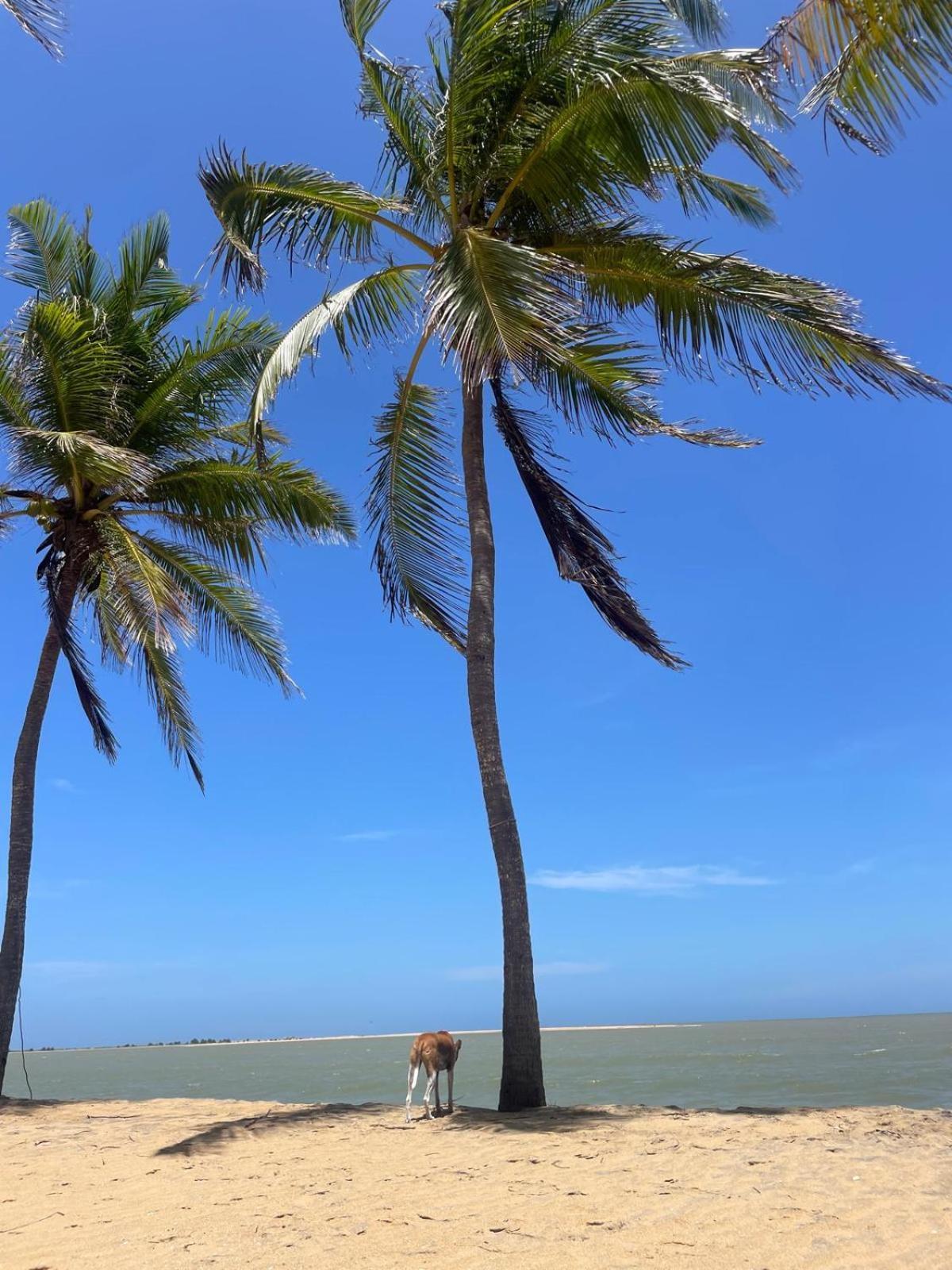 Sea Sand Resort Kalpitiya Exterior photo